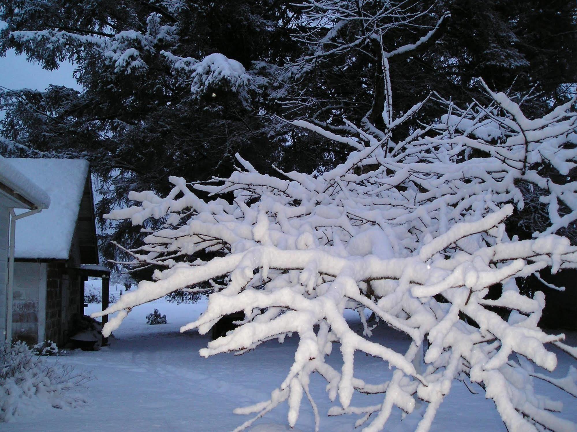 Miller Tree Inn Forks Dış mekan fotoğraf