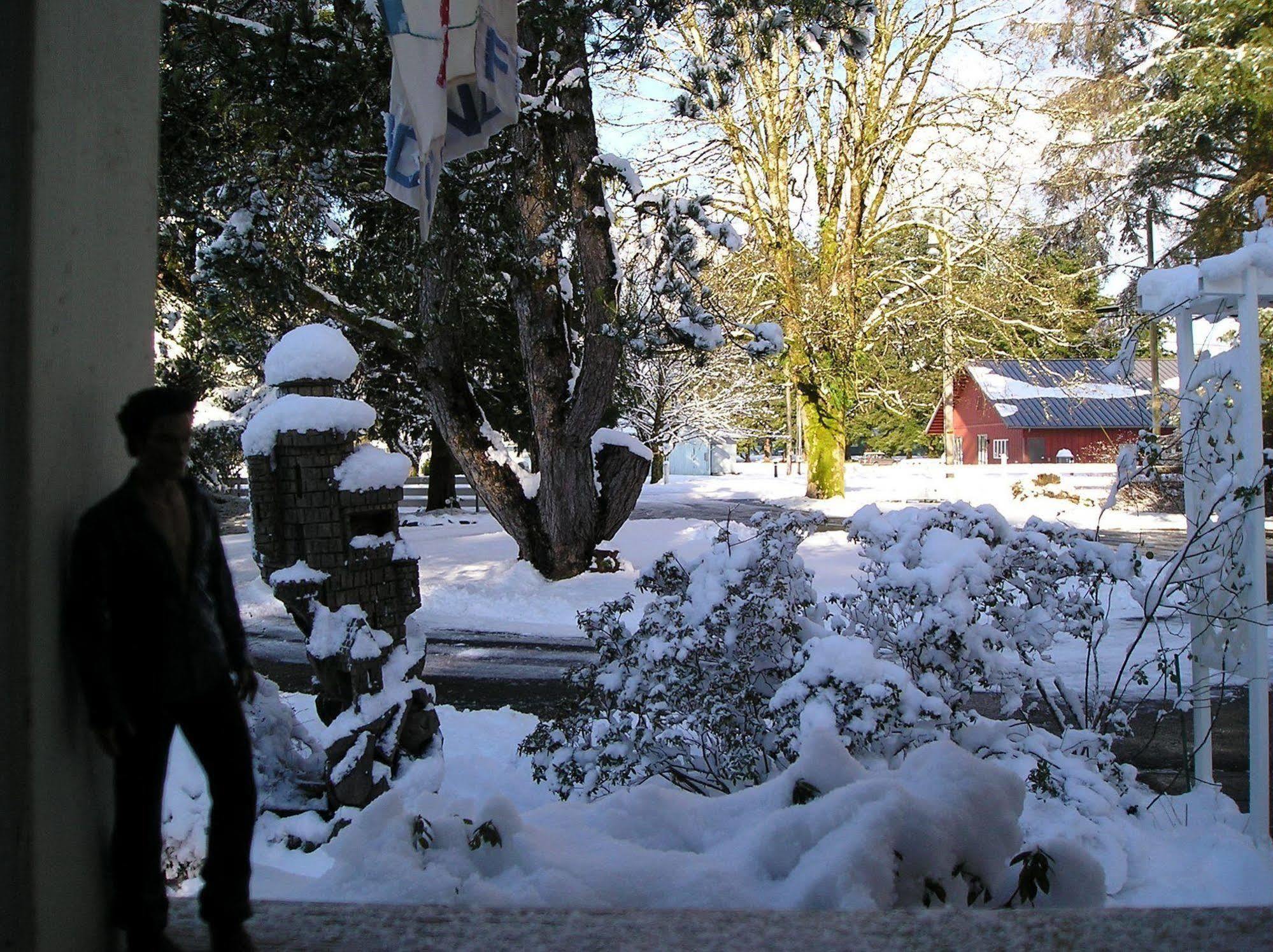 Miller Tree Inn Forks Dış mekan fotoğraf